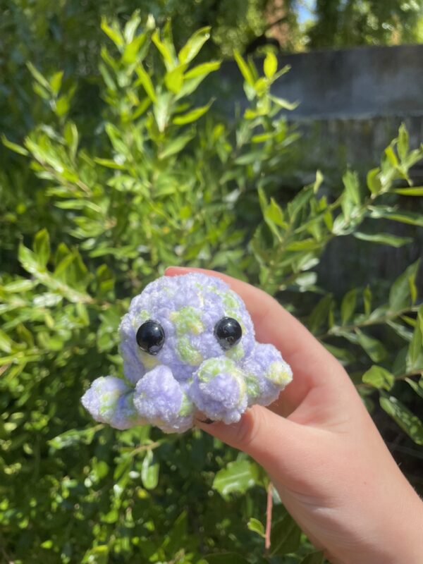 Mini Octos - Image 6